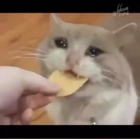 /album/chipsomenu-com/img-4239-jpg/